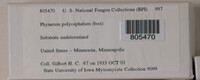 Image Associated With the Occurence